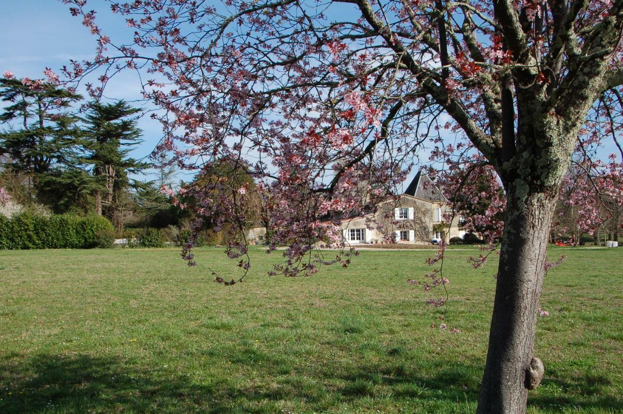 Chateau Ysard Camblanes-et-Meynac Luaran gambar